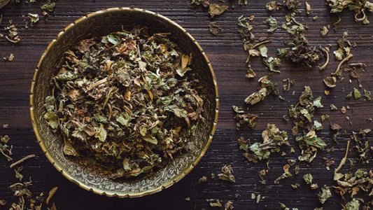 Patchouli Parfum: Erdender Duft mit mystischem Charakter - Kazaar